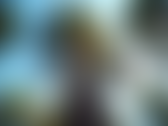 Tree Pruning Pricing: Understanding Costs and Estimates