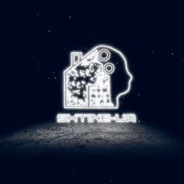 SHTINE VA is one of the TOP companies that has emerged to meet a vital need by providing virtual assistant services and profe