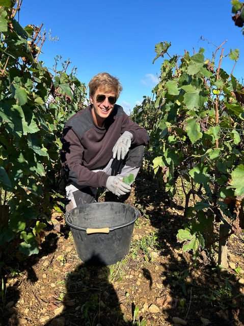 Domaine clos st jean - Vins certifiés Bio