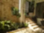 ree