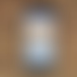  Virgilius Bononiensis 1565