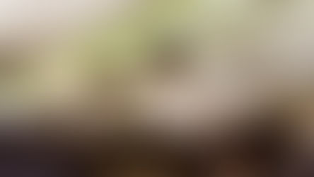 The Best Jobs for People Who Love to Travel