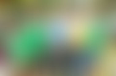 Immigration Reform - Keeping Families Together