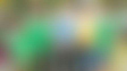 Immigration Reform - Keeping Families Together