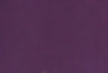 Morado V417