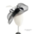 Miniaturbild: Machen Sie Ihr eigenes Fascinator Kit