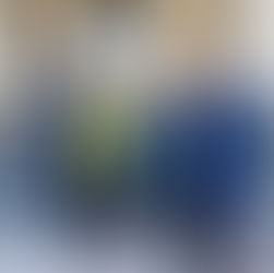 Hunter Netballers honoured at Government House Sydney