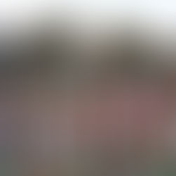 NNA 2026 Season Kicks off