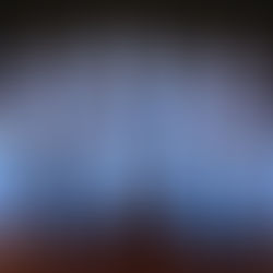 NSW Marie Little Shield Campaign 2024- EOI Athletes, Coaches, Managers & Selectors