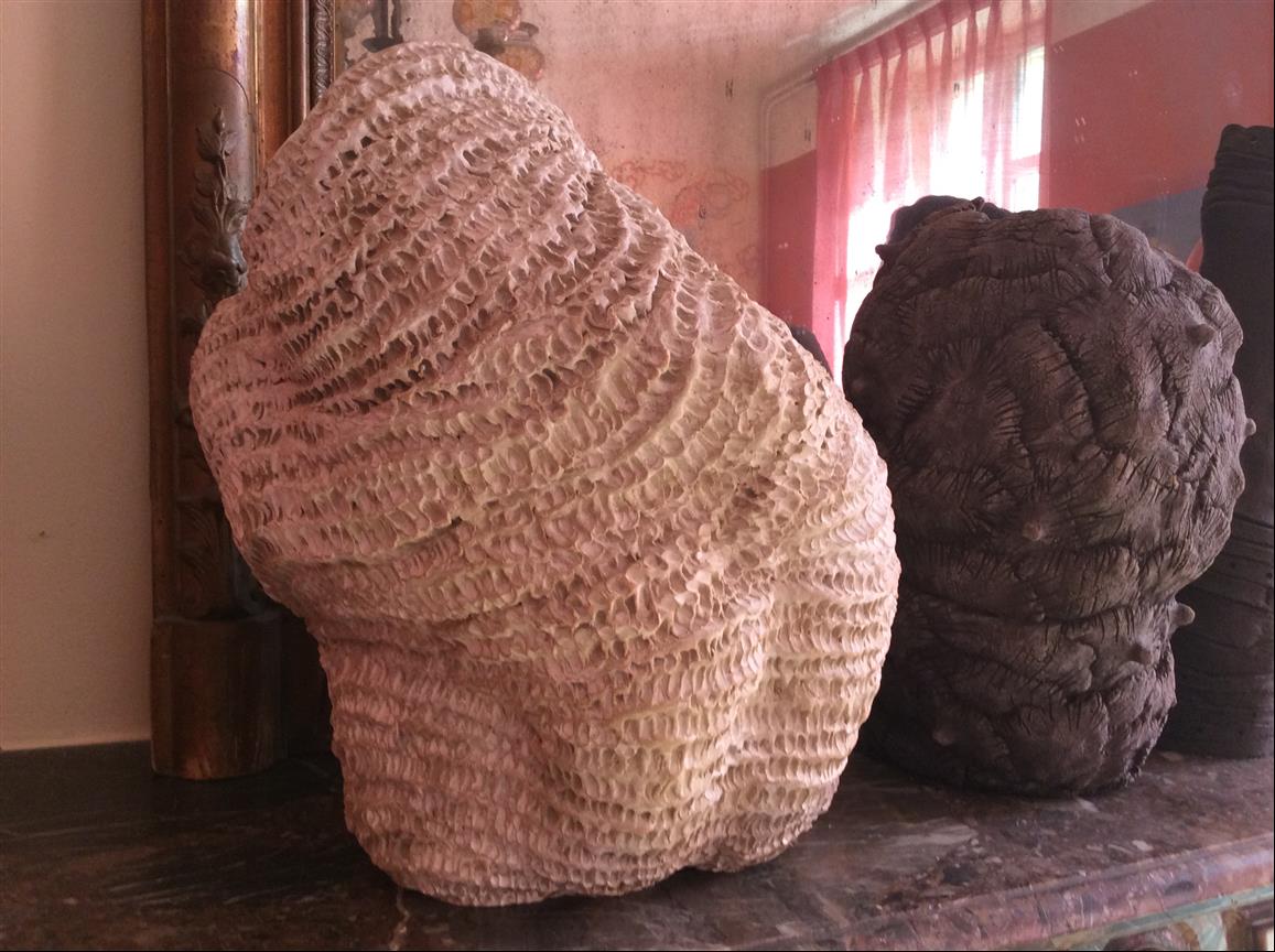 102 - Les vases impossibles
