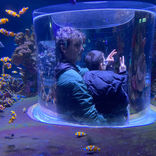 IMG-20230523-WA0048.jpg