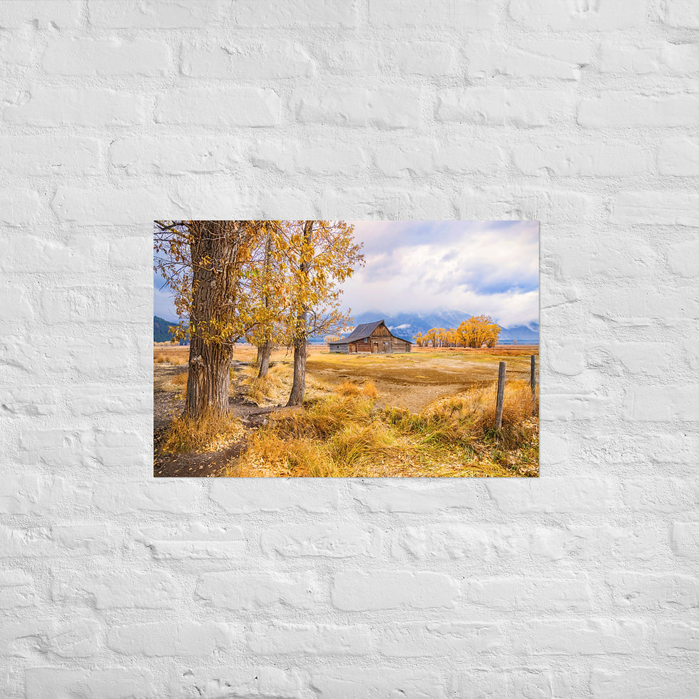 Miniaturbild: Grand Teton in Herbstfarben (3:2) - Druck