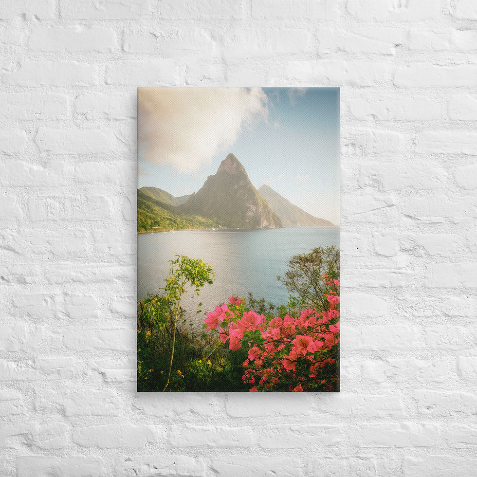Thumbnail: Saint Lucia Views - Canvas