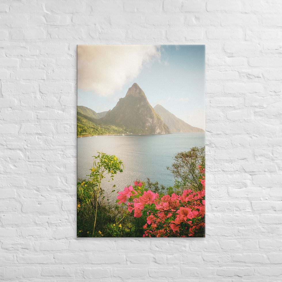 Thumbnail: Saint Lucia Views - Canvas