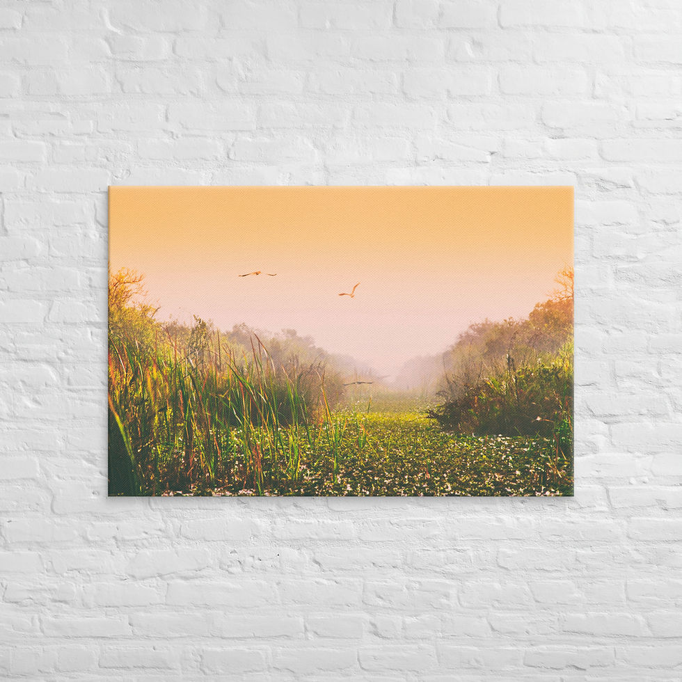 Thumbnail: River of Grass Everglades - Canvas