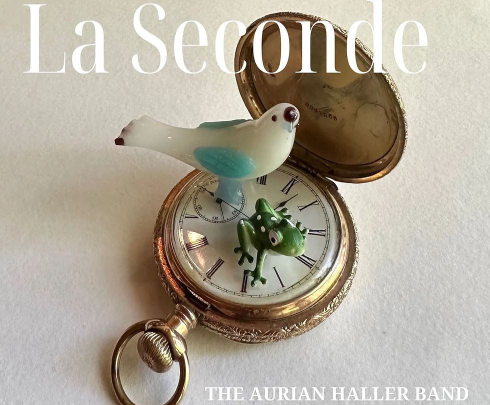 The Aurian Haller Band