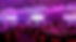 269799762_1330349880806408_3058530746100948337_n (1).jpg