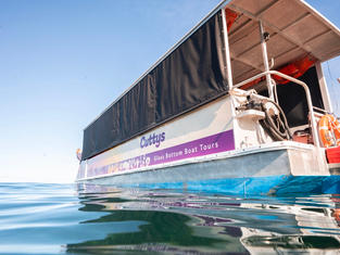 Cuttys glass bottom boat