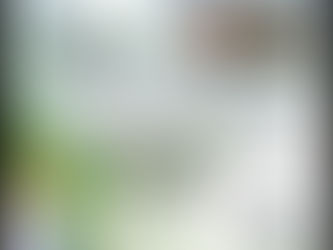 Teddy Roosevelt, Millie, and the Elegant Ride