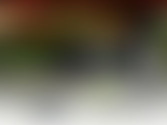 Should we be worried about Maine’s Loons?