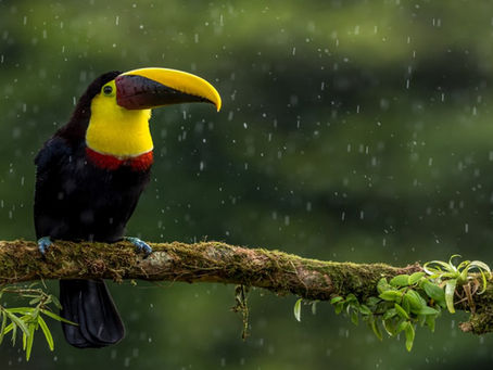 Information about Costa Rica