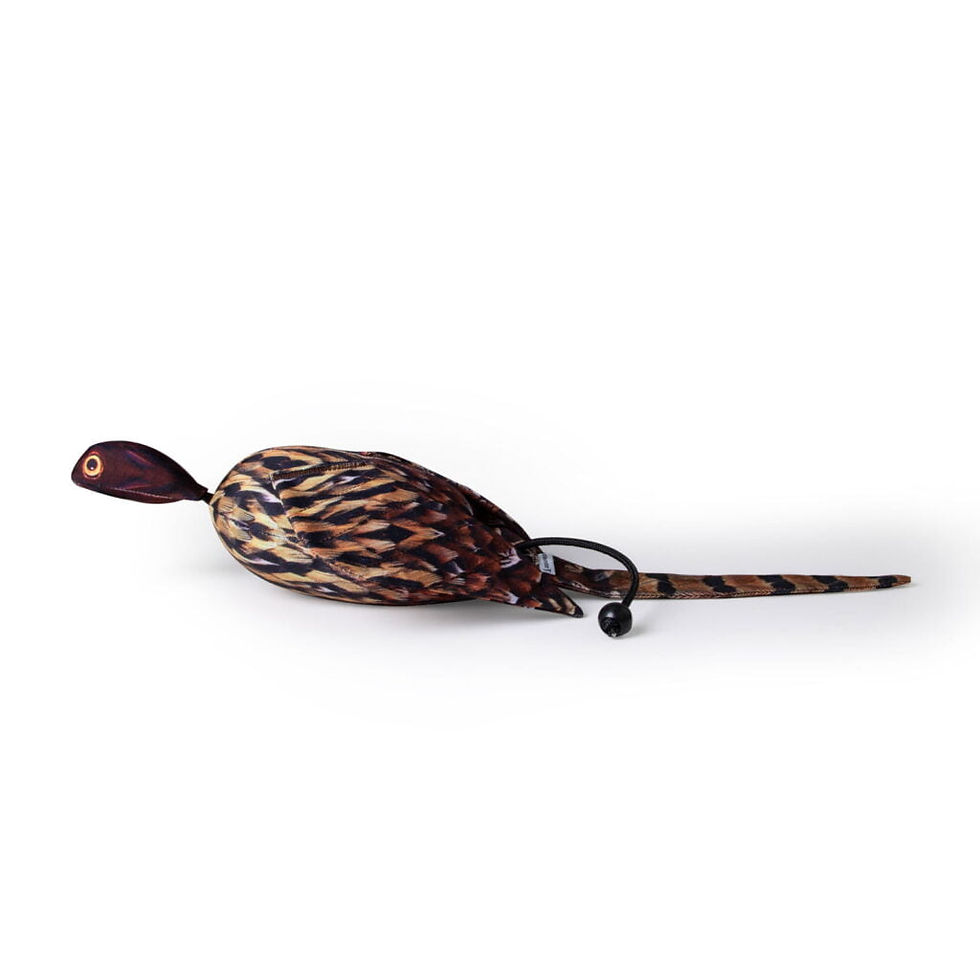Thumbnail: The Original Clone®️ Dead Bird Dummy – Cock Pheasant