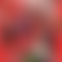 Adidas 3Stripes Gold Circut