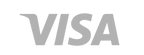 Visa gris web.png