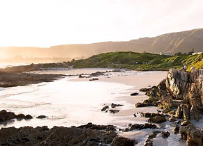 1-HERMANUS-BIRKENHEAD.jpg