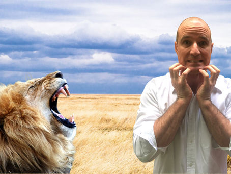 Is an African safari safe?