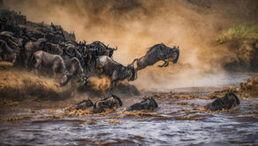 Kenya Honeymoon Packages