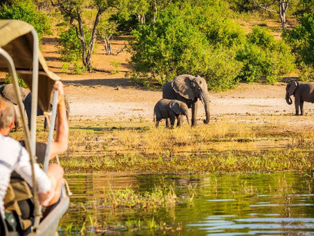 Safaris to Africa: Top 10 Most Popular Destinations Reviewed