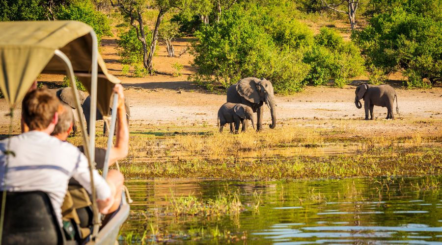 Safaris to Africa: Top 10 Most Popular Destinations Reviewed