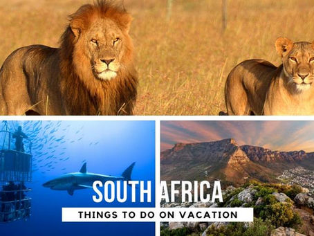 Top 5 Things to Do in South Africa on Vacation in 2022/23