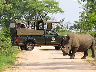 4X4-SAFARI.jpg
