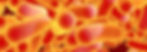 TYPHOID-HERO-IMAGE.jpg
