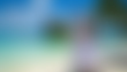 The 7 Best Africa Honeymoon Destinations