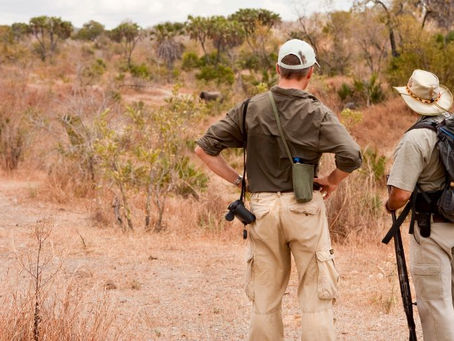 5 Reasons to Book Your Next Safari with an African Travel Specialist