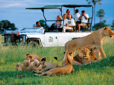 African Safari Costs