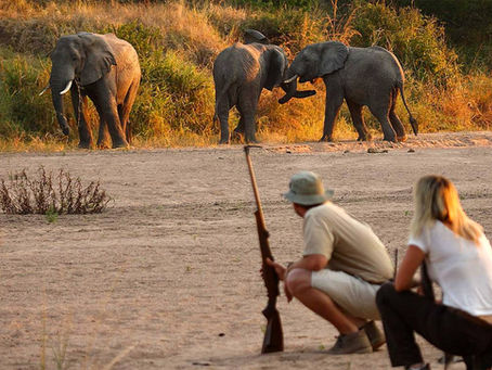 Best Walking Safaris in Africa