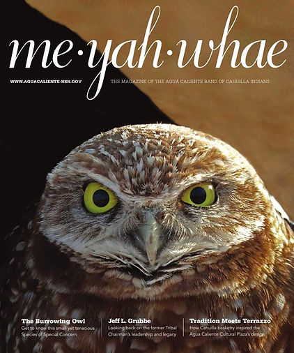 MeYahWhae_Tahquitz cover.jpg