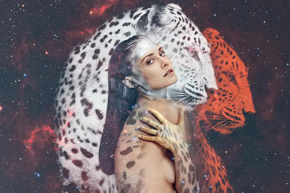 Animal who leads you