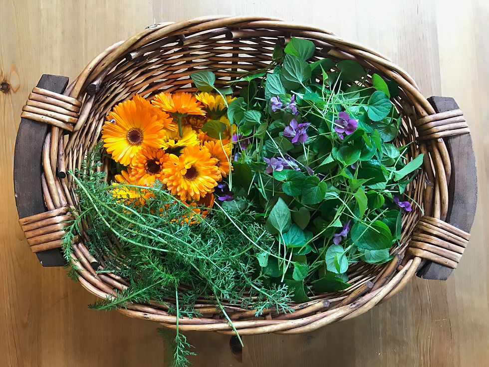 fresh calendula, violet, yarrow in a basket