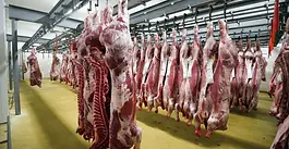 Rwanda seeks international investor for Gako meat project