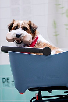 Buddy_Buddy sfeerbeeld_Basil Buddy faded denim series_9 - kopie.jpg