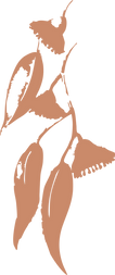 Geometrics 3