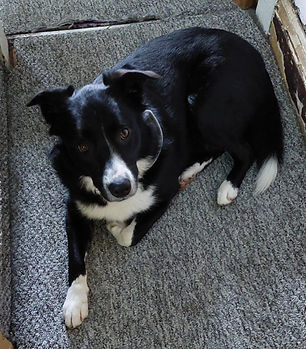 WhatsApp Image 2026-01-11 at 16.35.23 (1).jpeg