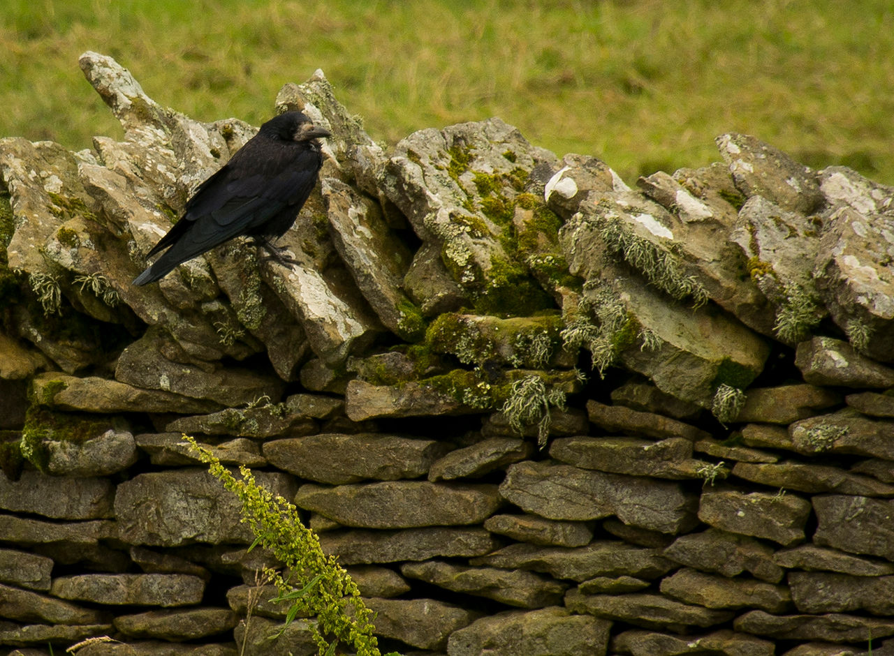 DSC_8031.jpg