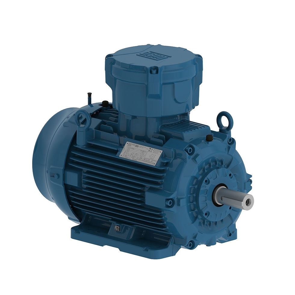 motor antiexplosivo.jpg
