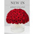 Thumbnail: CIRCULAR BOX OF ROSES